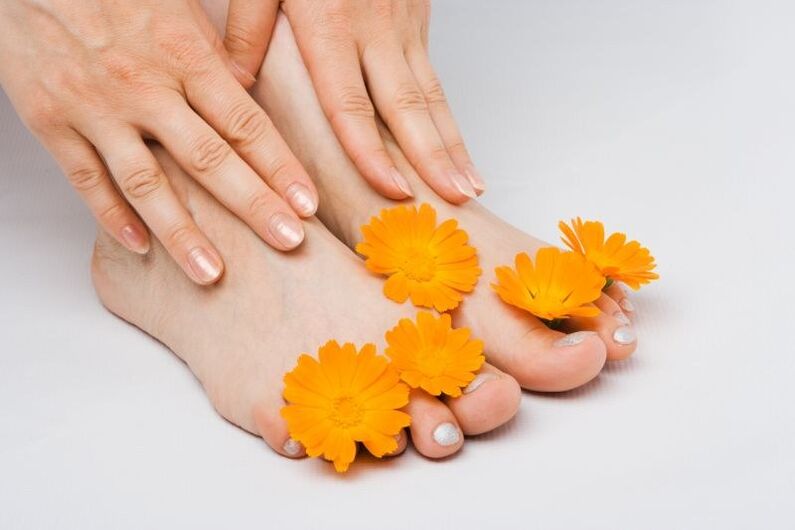 marigold flowers for nail fungus